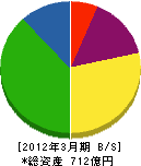 エネルギーアドバンス 貸借対照表 2012年3月期 エネルギーアドバンス 貸借対照表 2012年3月期