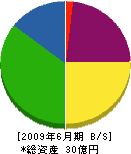 橘内建設 貸借対照表 2009年6月期 橘内建設 貸借対照表 2009年6月期