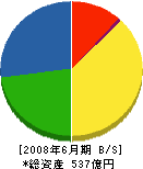 ショーボンド建設 貸借対照表 2008年6月期 ショーボンド建設 貸借対照表 2008年6月期