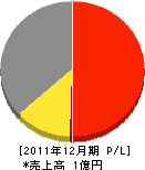 平洲 損益計算書 2011年12月期 平洲 損益計算書 2011年12月期
