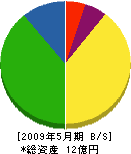 スエヒロ 貸借対照表 2009年5月期 スエヒロ 貸借対照表 2009年5月期