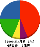 大澤塗装 貸借対照表 2009年3月期 大澤塗装 貸借対照表 2009年3月期