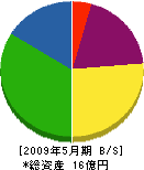 奥山化工業 貸借対照表 2009年5月期 奥山化工業 貸借対照表 2009年5月期