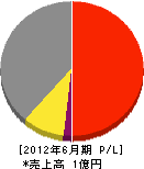金武土建 損益計算書 2012年6月期 金武土建 損益計算書 2012年6月期