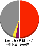 高分子 損益計算書 2012年5月期 高分子 損益計算書 2012年5月期