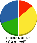 道村建設 貸借対照表 2010年3月期 道村建設 貸借対照表 2010年3月期