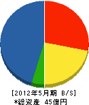 アネス 貸借対照表 2012年5月期 アネス 貸借対照表 2012年5月期