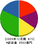 昭和電工 貸借対照表 2009年12月期 昭和電工 貸借対照表 2009年12月期