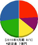 石松組 貸借対照表 2010年9月期 石松組 貸借対照表 2010年9月期