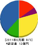 フジコンストラクト 貸借対照表 2011年6月期 フジコンストラクト 貸借対照表 2011年6月期