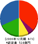 本間組 貸借対照表 2008年12月期 本間組 貸借対照表 2008年12月期