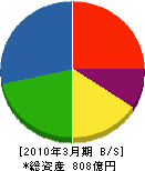佐世保重工業 貸借対照表 2010年3月期 佐世保重工業 貸借対照表 2010年3月期