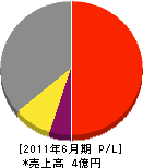 静岡塗装組 損益計算書 2011年6月期 静岡塗装組 損益計算書 2011年6月期