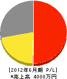 エフティーエンジニアリング 損益計算書 2012年6月期 エフティーエンジニアリング 損益計算書 2012年6月期