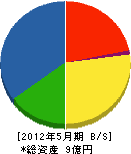 堤組 貸借対照表 2012年5月期 堤組 貸借対照表 2012年5月期