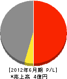 小嶋電工 損益計算書 2012年6月期 小嶋電工 損益計算書 2012年6月期