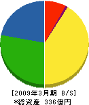 サンエイ 貸借対照表 2009年3月期 サンエイ 貸借対照表 2009年3月期