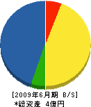 朝日電気工業 貸借対照表 2009年6月期 朝日電気工業 貸借対照表 2009年6月期
