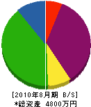 長島装芸社 貸借対照表 2010年8月期 長島装芸社 貸借対照表 2010年8月期