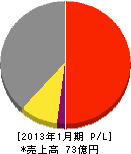 カナエ 損益計算書 2013年1月期 カナエ 損益計算書 2013年1月期