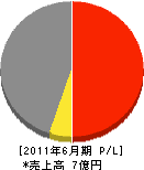シンエー 損益計算書 2011年6月期 シンエー 損益計算書 2011年6月期