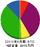 長島装芸社 貸借対照表 2012年8月期 長島装芸社 貸借対照表 2012年8月期