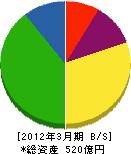 東北インテリジェント通信 貸借対照表 2012年3月期 東北インテリジェント通信 貸借対照表 2012年3月期