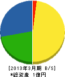 高橋電業 貸借対照表 2013年3月期 高橋電業 貸借対照表 2013年3月期