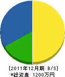 舎平起工業 貸借対照表 2011年12月期 舎平起工業 貸借対照表 2011年12月期