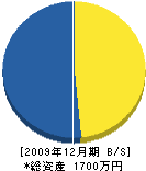本庄商会 貸借対照表 2009年12月期 本庄商会 貸借対照表 2009年12月期