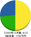 共伸ホーム 貸借対照表 2009年12月期 共伸ホーム 貸借対照表 2009年12月期