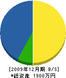 大池建設 貸借対照表 2009年12月期 大池建設 貸借対照表 2009年12月期