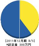 吉川電工 貸借対照表 2011年12月期 吉川電工 貸借対照表 2011年12月期