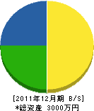 佐藤造園 貸借対照表 2011年12月期 佐藤造園 貸借対照表 2011年12月期