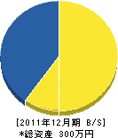 栄林工務店 貸借対照表 2011年12月期 栄林工務店 貸借対照表 2011年12月期