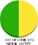 T・S造園土木 貸借対照表 2011年12月期 T・S造園土木 貸借対照表 2011年12月期