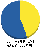 SN企画 貸借対照表 2011年4月期 SN企画 貸借対照表 2011年4月期