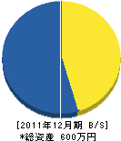 石場美展 貸借対照表 2011年12月期 石場美展 貸借対照表 2011年12月期