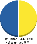 高橋造園 貸借対照表 2009年12月期 高橋造園 貸借対照表 2009年12月期