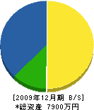 西秩父電業社 貸借対照表 2009年12月期 西秩父電業社 貸借対照表 2009年12月期