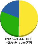 石橋塗装店 貸借対照表 2012年3月期 石橋塗装店 貸借対照表 2012年3月期