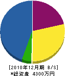 井上建設 貸借対照表 2010年12月期 井上建設 貸借対照表 2010年12月期