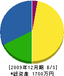 竜弘園 貸借対照表 2009年12月期 竜弘園 貸借対照表 2009年12月期