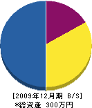 千田造園土木 貸借対照表 2009年12月期 千田造園土木 貸借対照表 2009年12月期