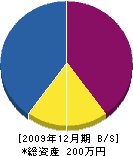山口昇 貸借対照表 2009年12月期 山口昇 貸借対照表 2009年12月期