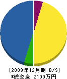埼光園 貸借対照表 2009年12月期 埼光園 貸借対照表 2009年12月期