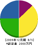 谷田組 貸借対照表 2009年12月期 谷田組 貸借対照表 2009年12月期