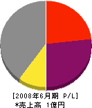 プラザプロダクト 損益計算書 2008年6月期 プラザプロダクト 損益計算書 2008年6月期