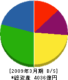 トクヤマ 貸借対照表 2009年3月期 トクヤマ 貸借対照表 2009年3月期