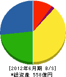 ショーボンド建設 貸借対照表 2012年6月期 ショーボンド建設 貸借対照表 2012年6月期